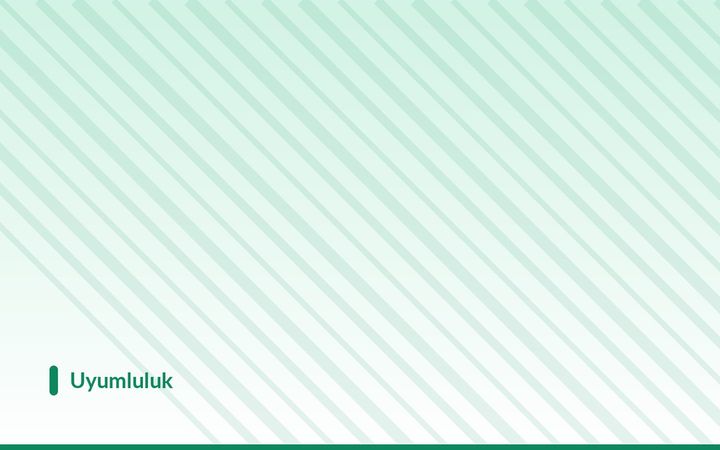 İş Güvencesi ve Geçerli Fesih: İşe İade Davası Riskini Azaltmak