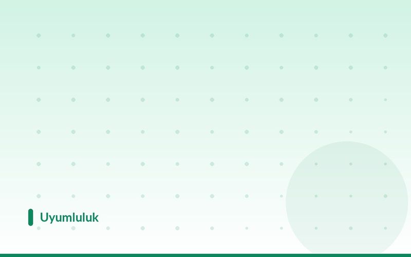 Engelli Çalıştırma Kotası: Hesaplama, Teşvikler ve İdari Para Cezası